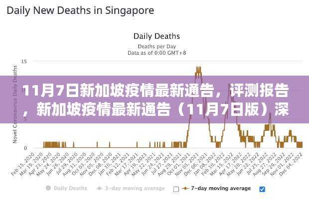 新加坡疫情最新通告（深度解析版）评测报告出炉，疫情动态与应对策略分析