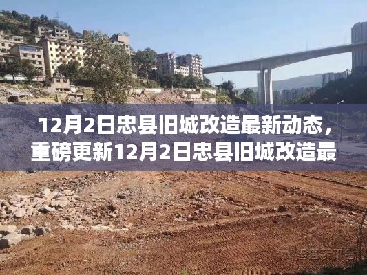 揭秘忠县旧城改造最新动态,改造细节曝光,未来展望引人瞩目