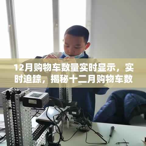 揭秘十二月购物车数量背后的秘密，实时追踪与实时显示数据报告