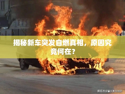 联系我们 第224页