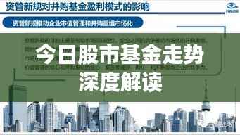 今日股市基金走势深度解读