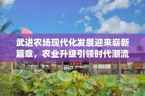 niaojingongzang
